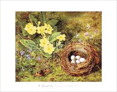 Primroses with a Bird's Nest
