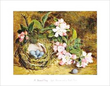 Apple Blossom and a Bird's Nest