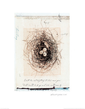 Bird's Nest