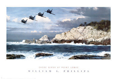 Shore Birds at Point Lobos